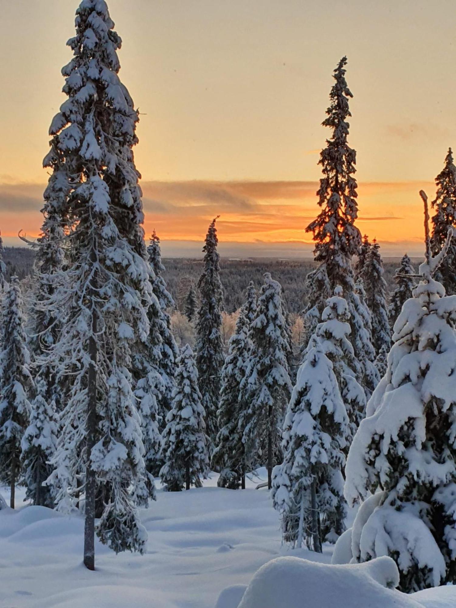 Hietavilla Borealis Рука Екстер'єр фото